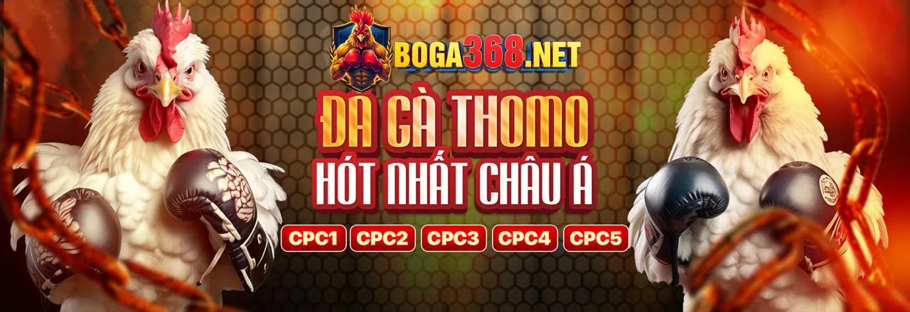 Banner ưu đãi hoàn trả hàng ngày 88xx Bet