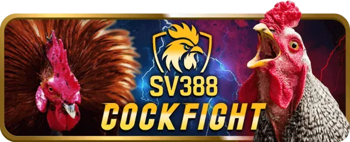 Hoàn trả cá cược thể thao 88xx Bet