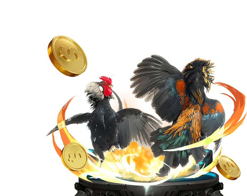 Xem đá gà trực tuyến tại 88xx Bet