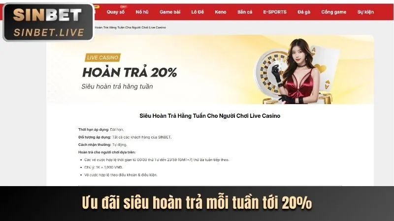 Hoàn trả hàng ngày tại 88xx Bet